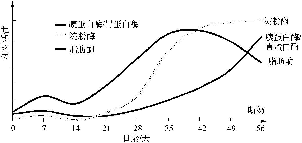 仔豬生理特征